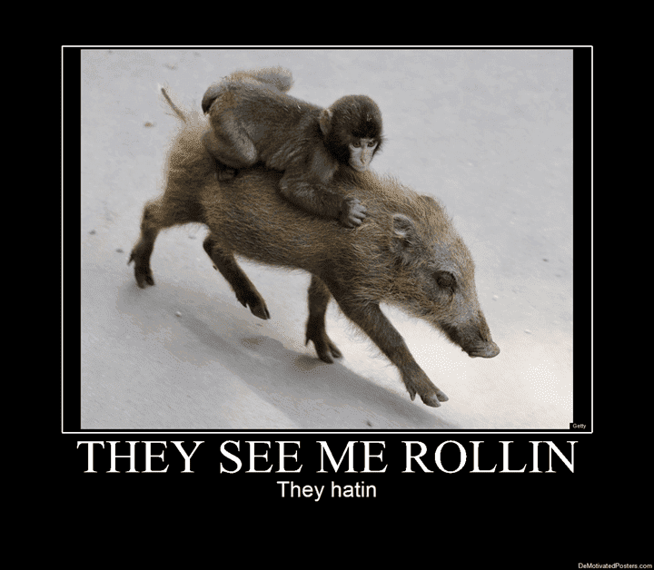 They-See-Me-Rollin_20101228172310_reg.png