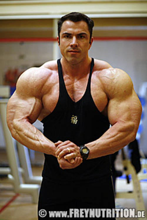 thumb_500x375_553_bodybuildingandreas-frey6.jpg