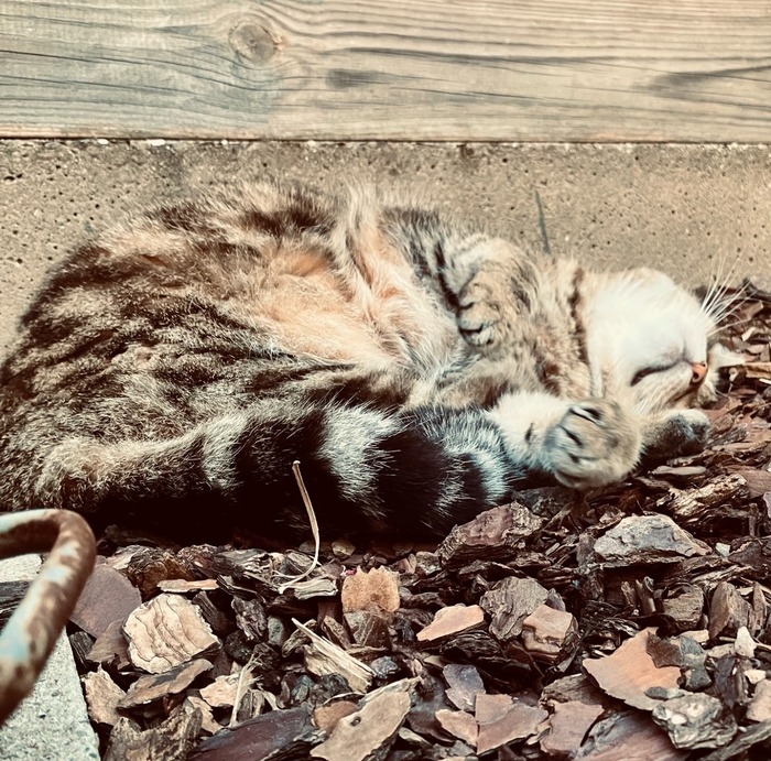 thumbnail_image0 (1)cccccccccccccc (1).jpg