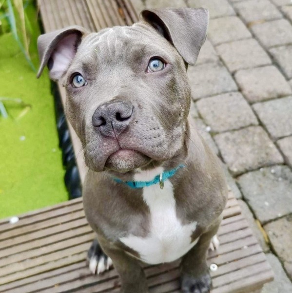 thumbnail_image0 (1) - kopie (1).jpg