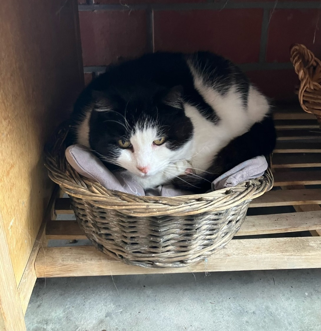 thumbnail_image0 (2).jpg