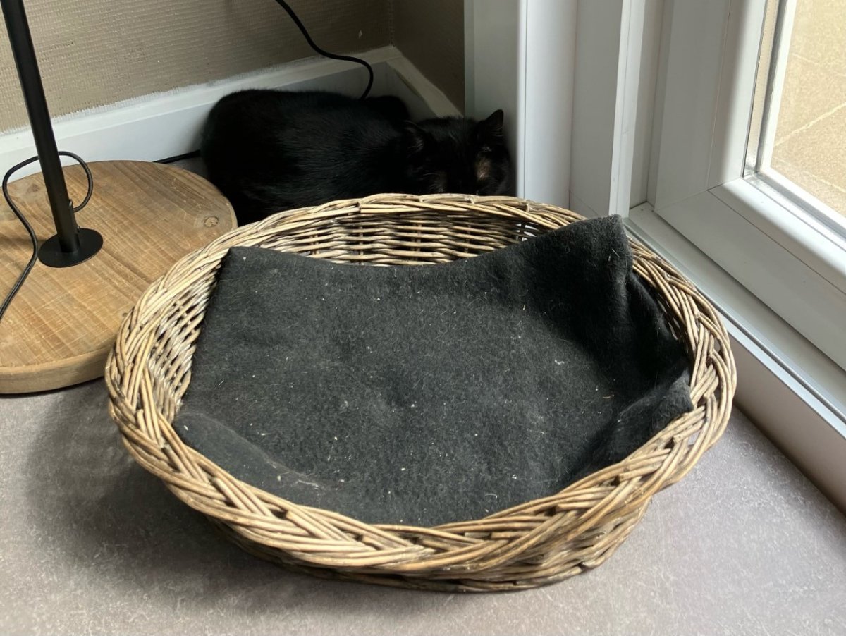 thumbnail_image0 (3).jpg