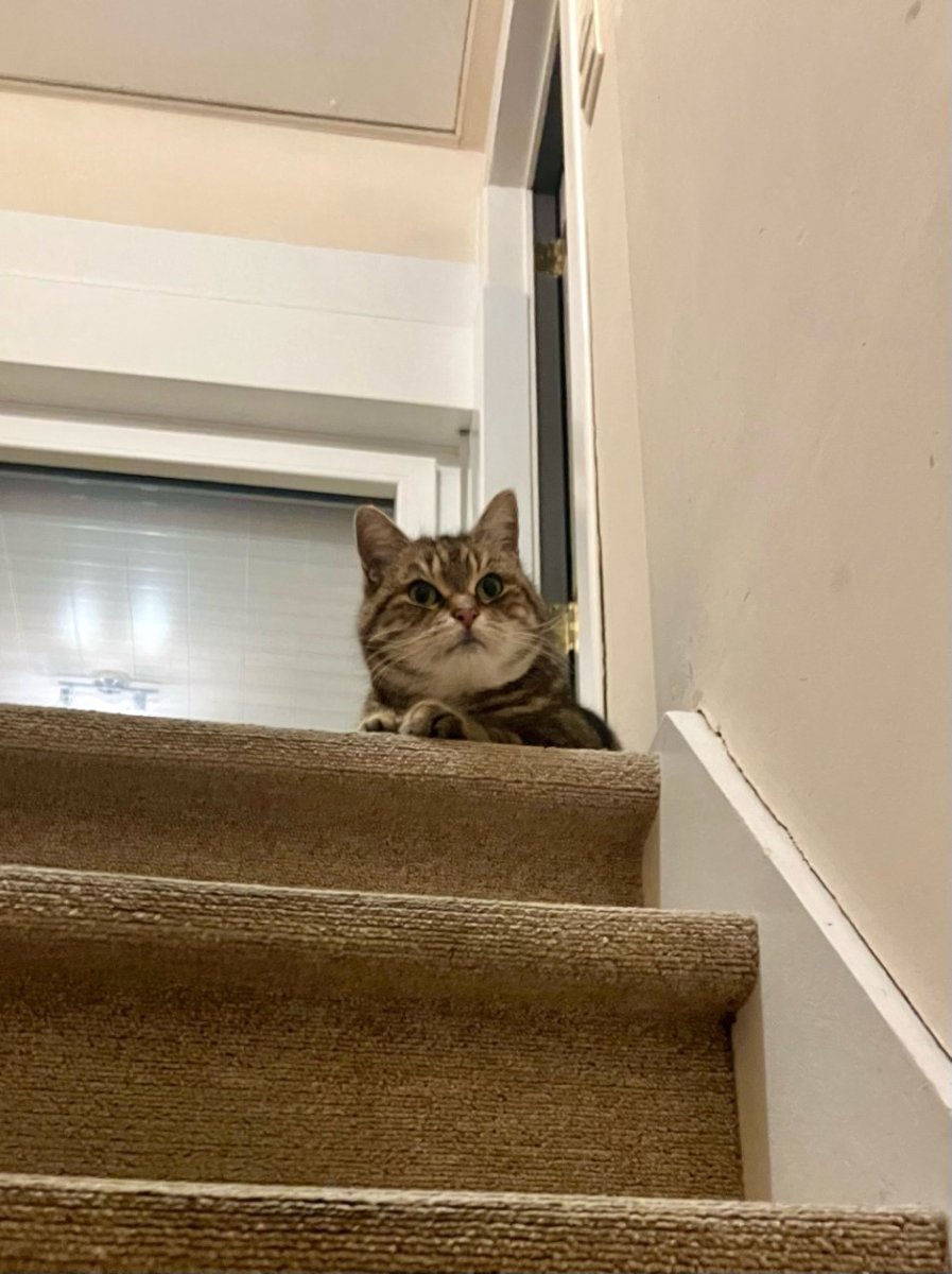 thumbnail_image0 (4).jpg