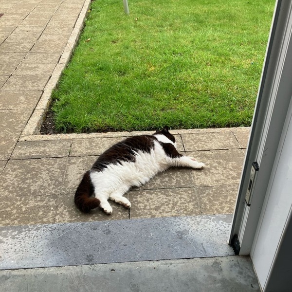 thumbnail_image1 (2) (1).jpg