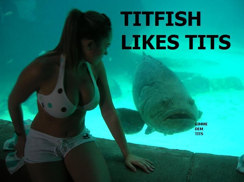 titfish-likes-bewbs-girl-aquarium-1322773444C.jpg