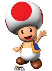 toad_standup.jpg