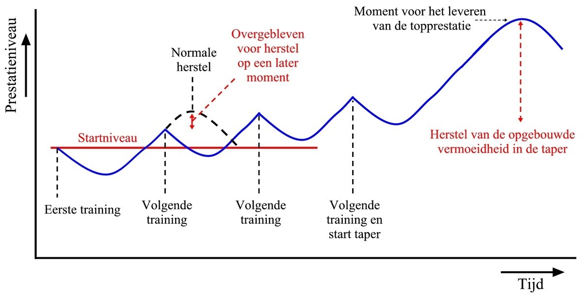 trainings_effect_2_gr.jpg