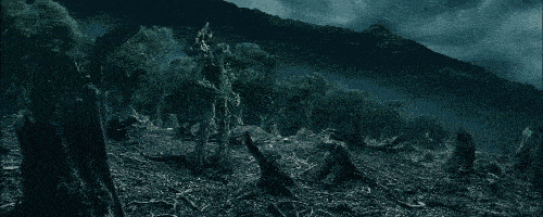 tumblr_mt13ivDCoI1rw5a6co9_500.gif
