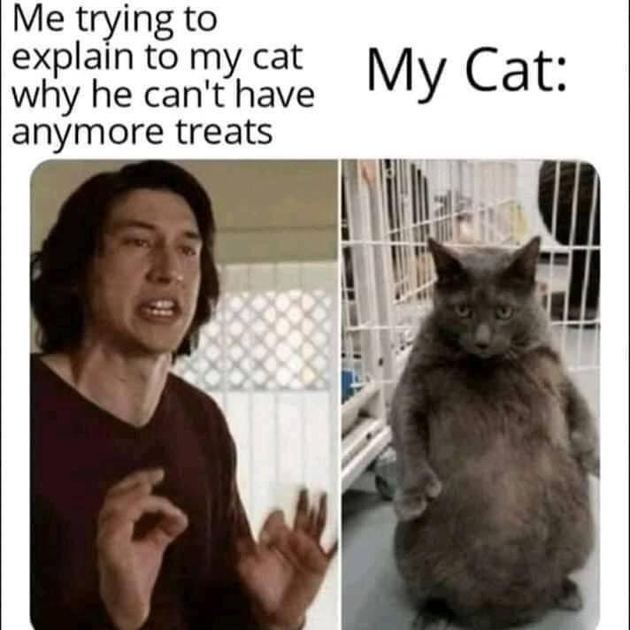 undefined - Imgur.jpg