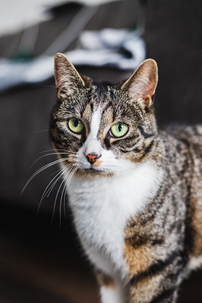 untitled (1 of 1)-23.jpeg