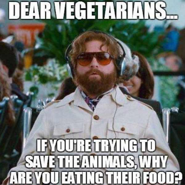 vegetarian-meme-about-eating-animal-food.jpg