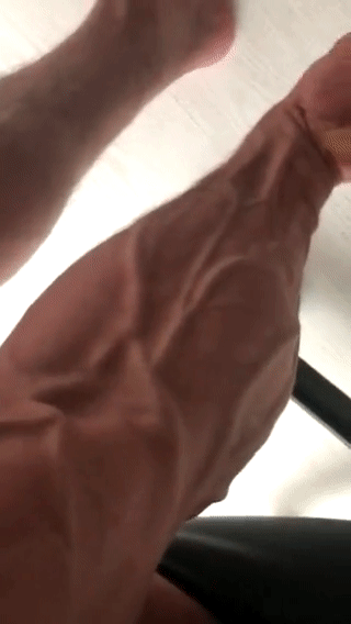 veins111.gif