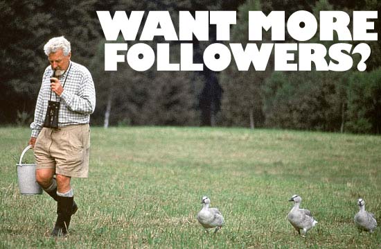 want-more-followers.jpg