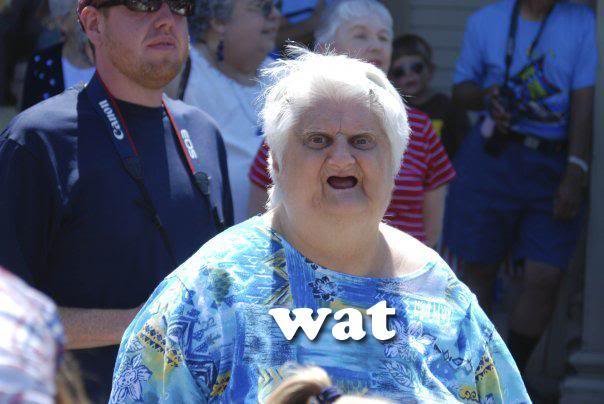 wat-meme-old-lady.jpg