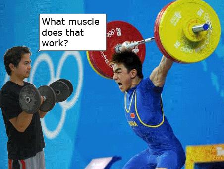 what-muscle-barbell-snatch.jpg