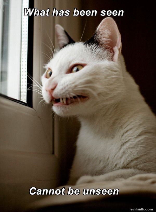 What_Has_Been_Seen_Cannot.jpg