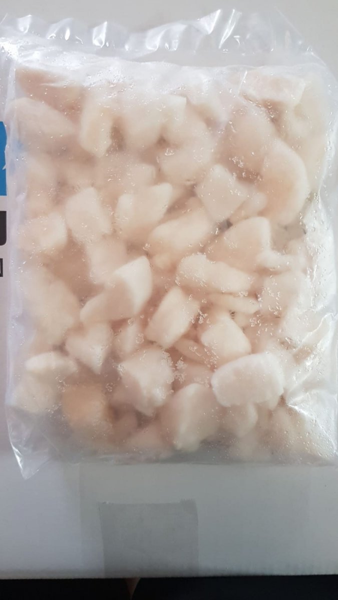 WhatsApp Image 2018-08-16 at 10.44.51.jpeg