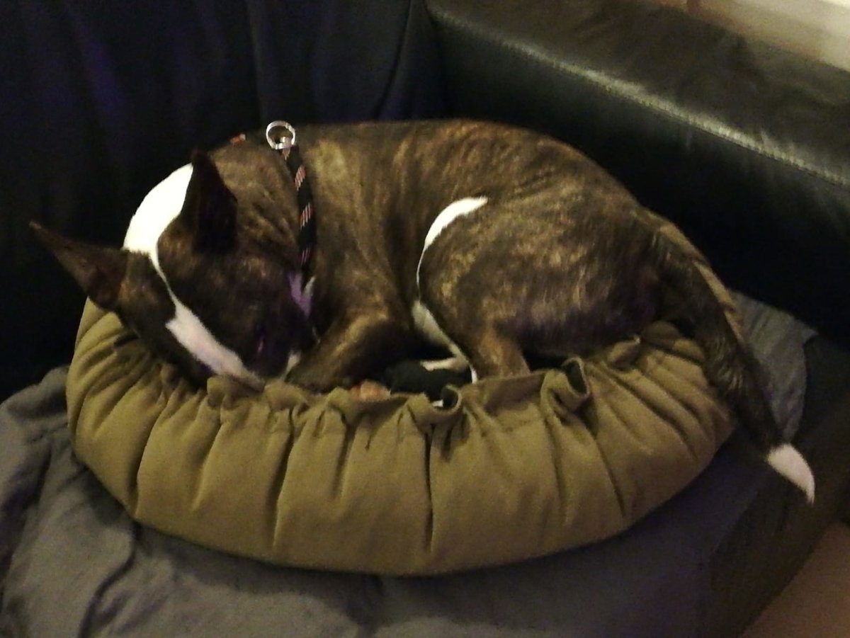 WhatsApp Image 2020-01-14 at 10.11.15.jpeg