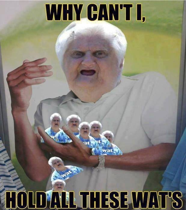 why-cant-i-hold-all-these-wats.jpg