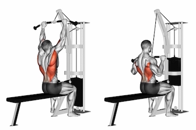 WideOverhandGripLatPulldown.jpg