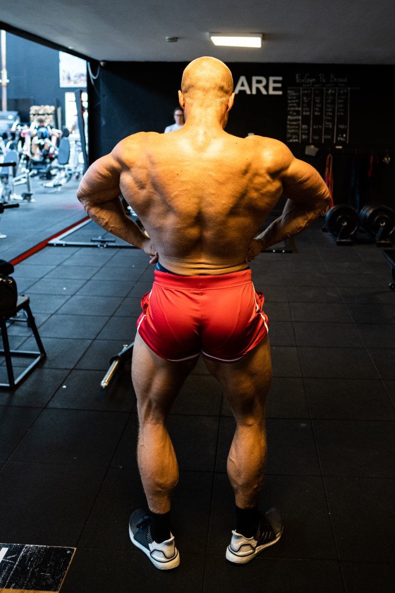 Wouter spreid de vleugels.jpg