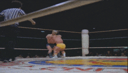 wrestling_420f55_2860211.gif