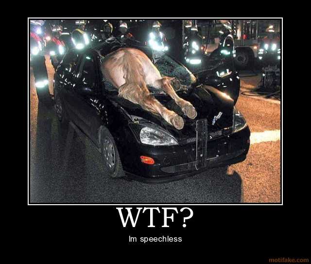 wtf-demotivational-poster-1211081456.jpg
