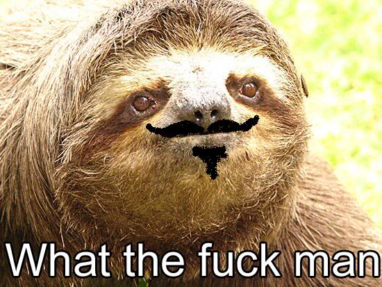WTFmanSloth.jpg
