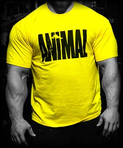 yellowanimalshirt.jpg