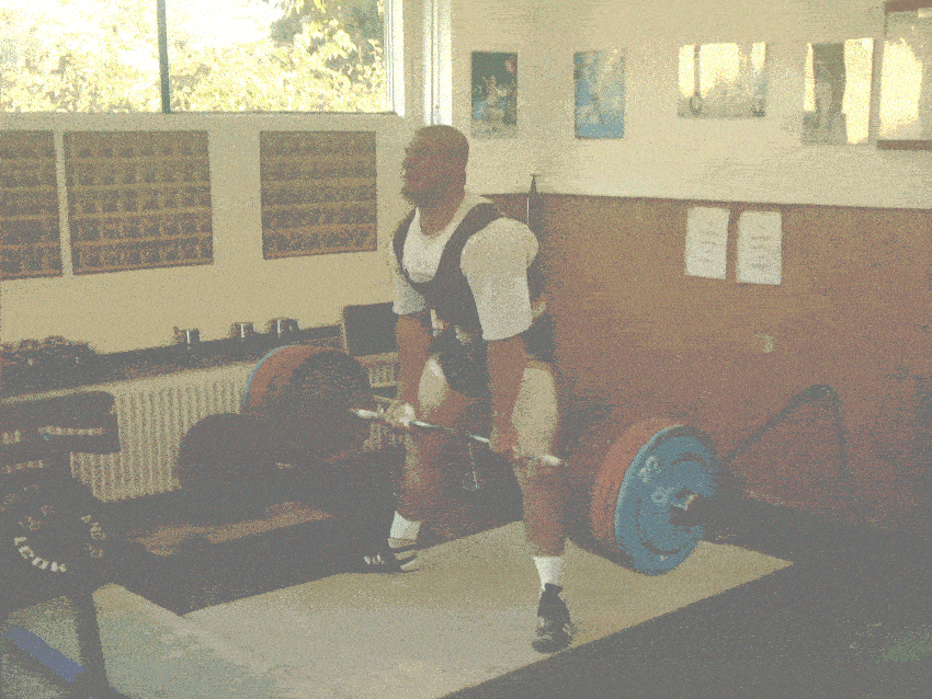 ylke deadlift (training) 300kg 2002.gif
