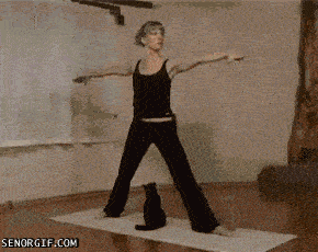 yoga-cat-cute-girl-gifs.gif