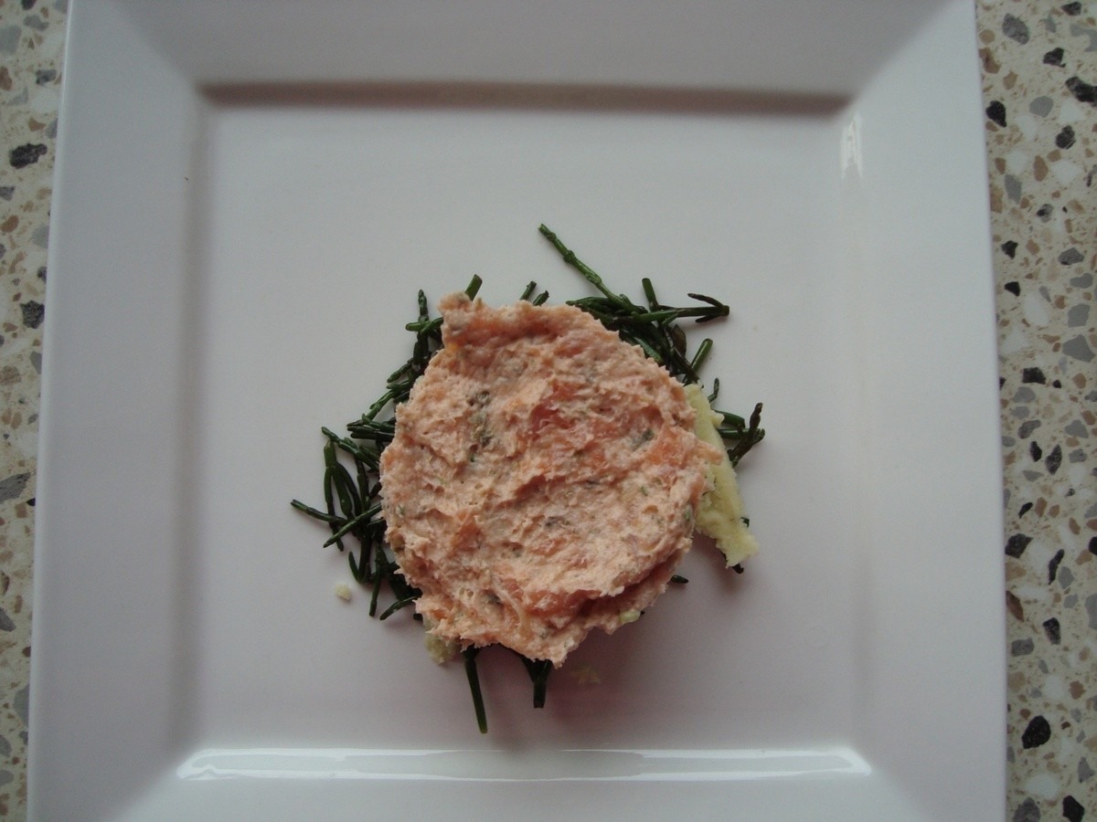 zalm 002.jpg