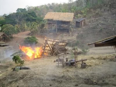 5zckvfn.jpg - 115039