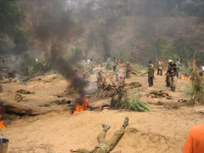 4pup820.jpg - 115040