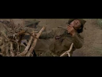 8bp8ps8.jpg - 118352