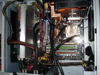 7yhfmle.jpg - 120612