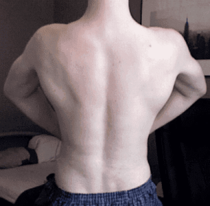 313lv79.png - 134998