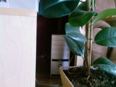 2uz8o5t.jpg - 136758