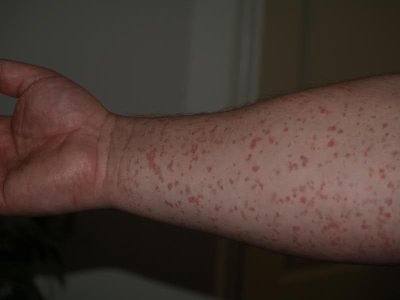 2j4rho8.jpg - 146816