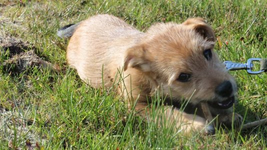 33niws6.jpg - 150210