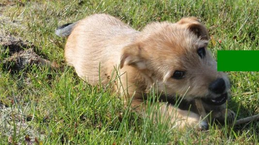 2qvfa6e.jpg - 150217