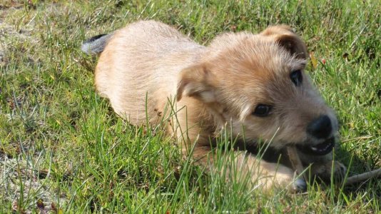 2vii7mh.jpg - 150220