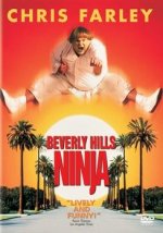 Beverly-Hills-Ninja.jpg - 158820