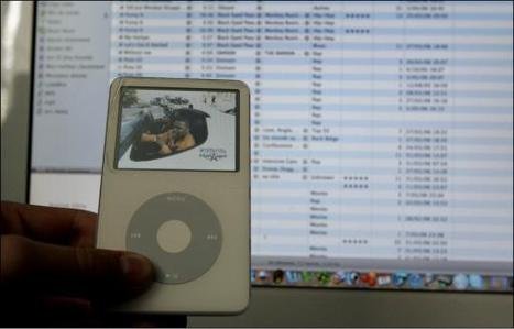 media_xl_908117.jpg - 161294