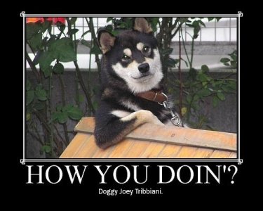 3288513661_3c63339ddd.jpg - 181966