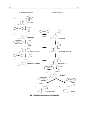 GetFullPageImage (10).png - 25989