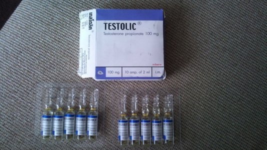 DSC_2050.jpg - 26152