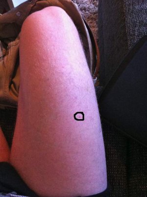 IMG_2228.jpg - 26569