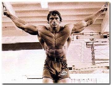 Arnold_Schwarzenegger.jpg - 212210