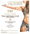the artemiscup 2009.jpg